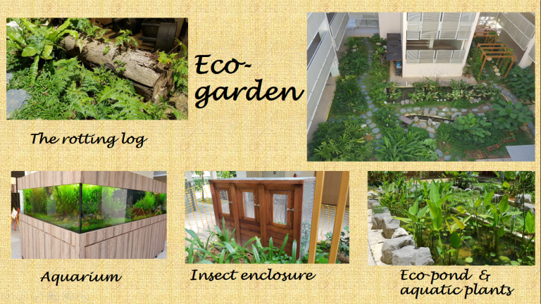 Eco-garden